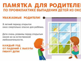 Профилактика выпадения из окон Профилактика выпадения из окон.