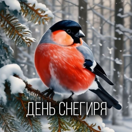 День Снегиря в детском саду. День Снегиря в детском саду.